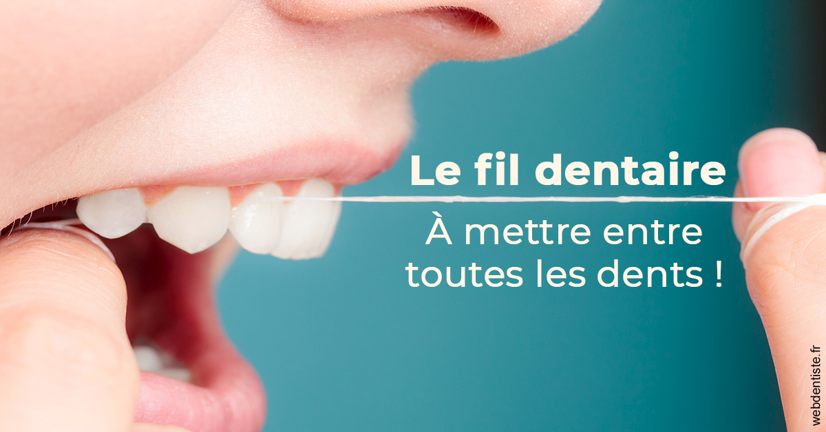https://www.docteur-lamoureux-jean-claude.fr/Le fil dentaire 2