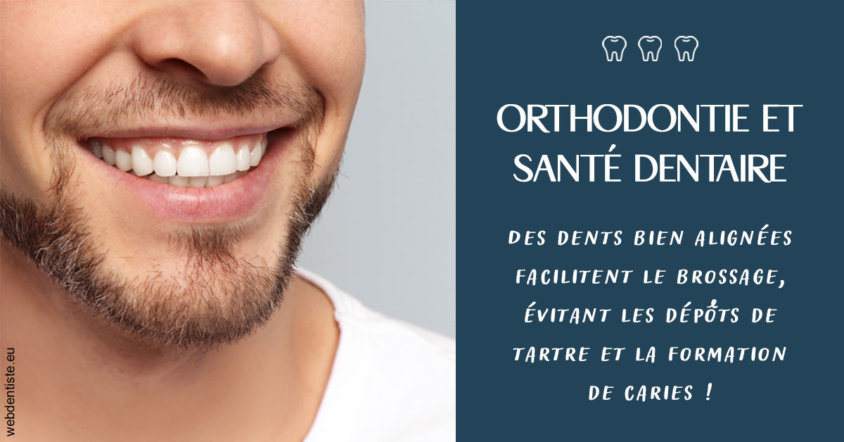 https://www.docteur-lamoureux-jean-claude.fr/Orthodontie et santé dentaire 2