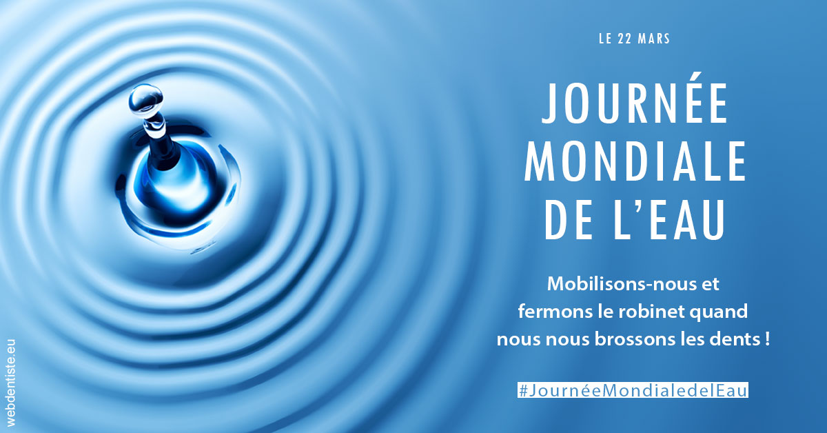 https://www.docteur-lamoureux-jean-claude.fr/Journée de l'eau 2023 1