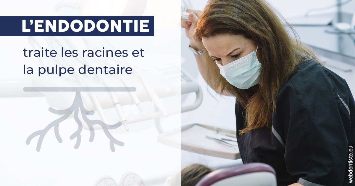 https://www.docteur-lamoureux-jean-claude.fr/L'endodontie 1
