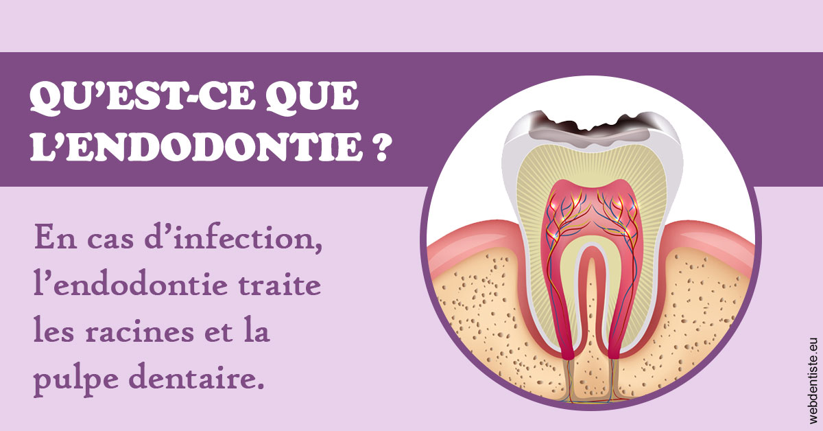 https://www.docteur-lamoureux-jean-claude.fr/2024 T1 - Endodontie 02