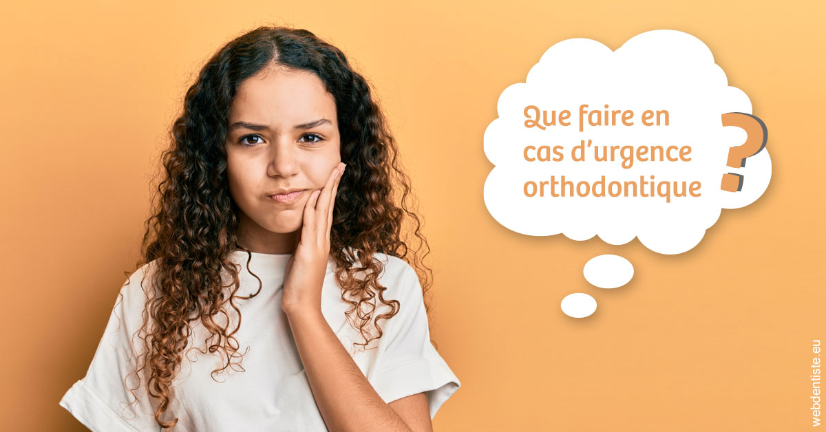 https://www.docteur-lamoureux-jean-claude.fr/Urgence orthodontique 2