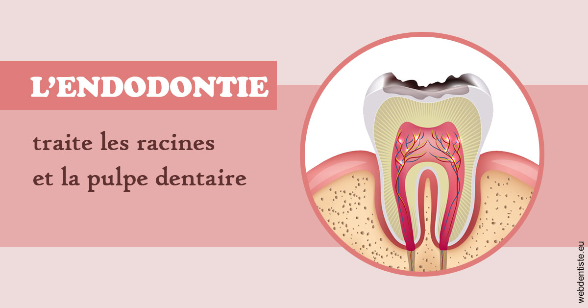 https://www.docteur-lamoureux-jean-claude.fr/L'endodontie 2