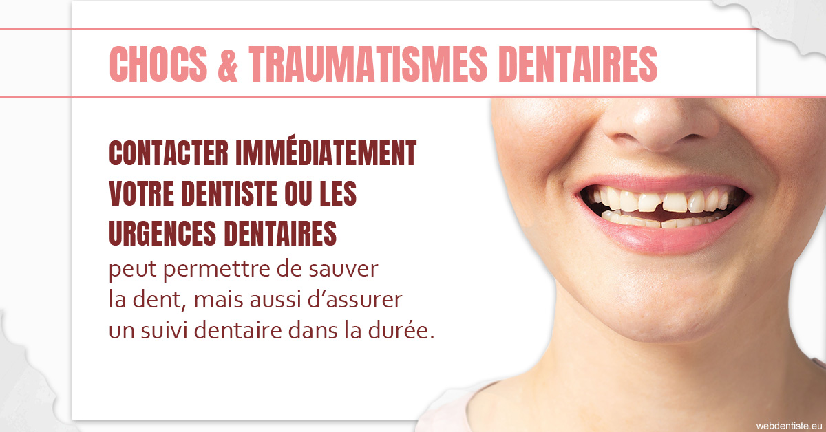 https://www.docteur-lamoureux-jean-claude.fr/2023 T4 - Chocs et traumatismes dentaires 01