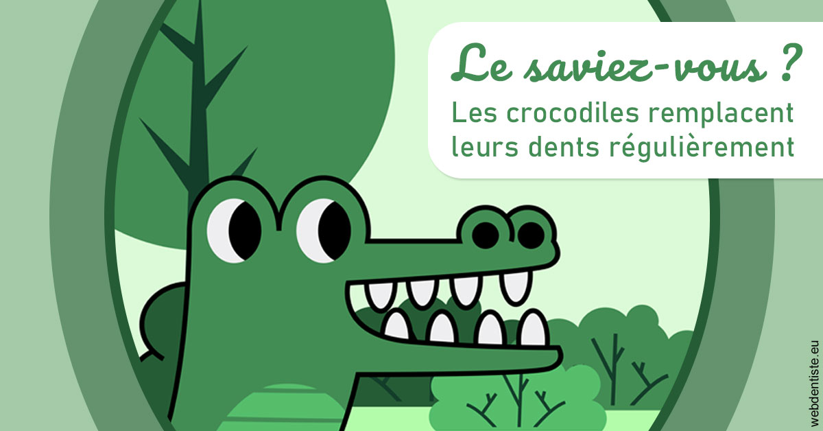 https://www.docteur-lamoureux-jean-claude.fr/Crocodiles 2