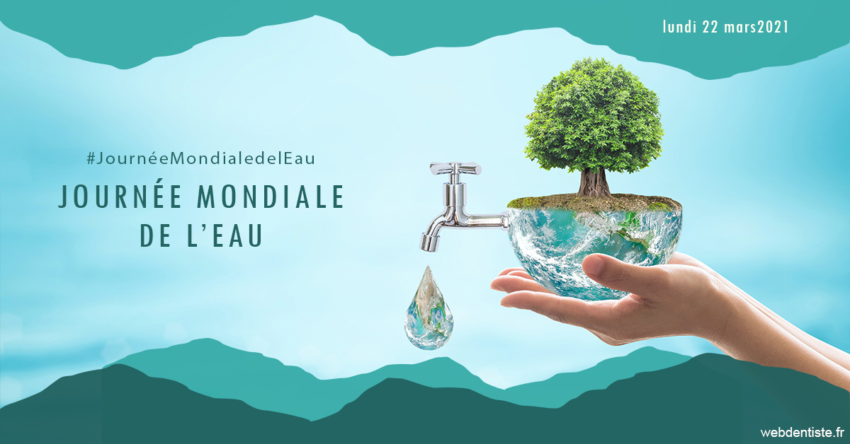 https://www.docteur-lamoureux-jean-claude.fr/Journée de l'eau 1