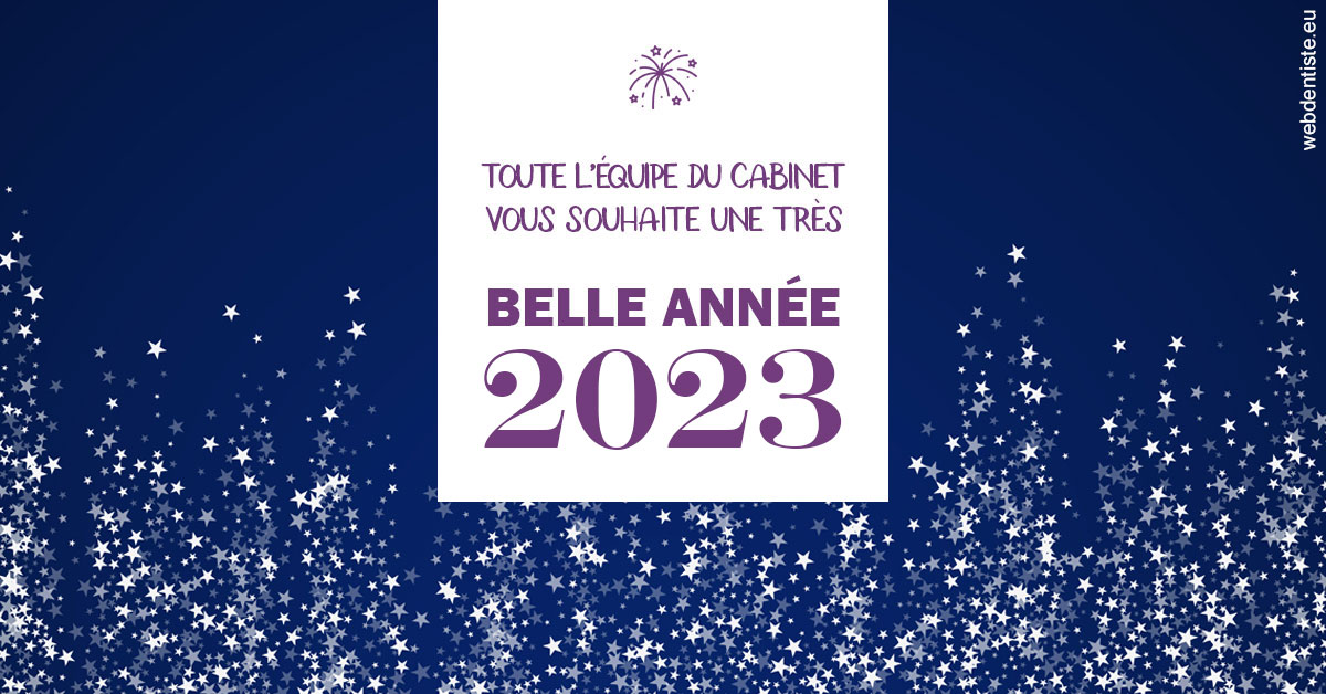 https://www.docteur-lamoureux-jean-claude.fr/Bonne année 2023 2