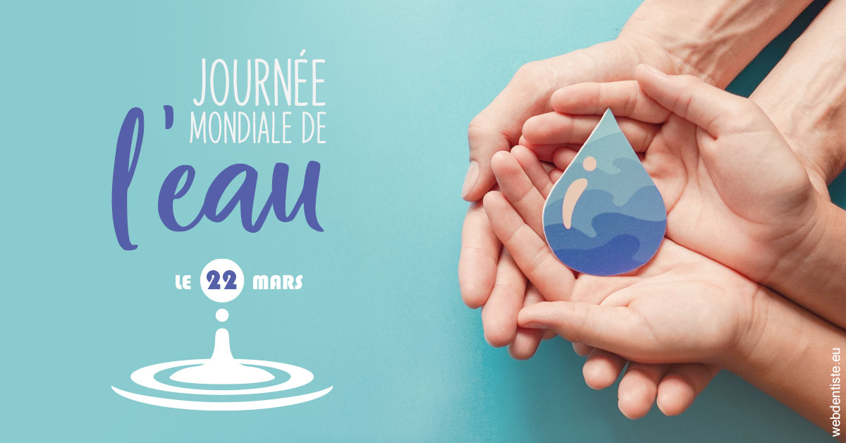 https://www.docteur-lamoureux-jean-claude.fr/La journée de l'eau 1