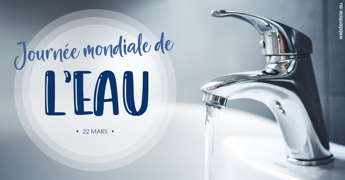 https://www.docteur-lamoureux-jean-claude.fr/La journée de l'eau 2