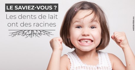 https://www.docteur-lamoureux-jean-claude.fr/Les dents de lait