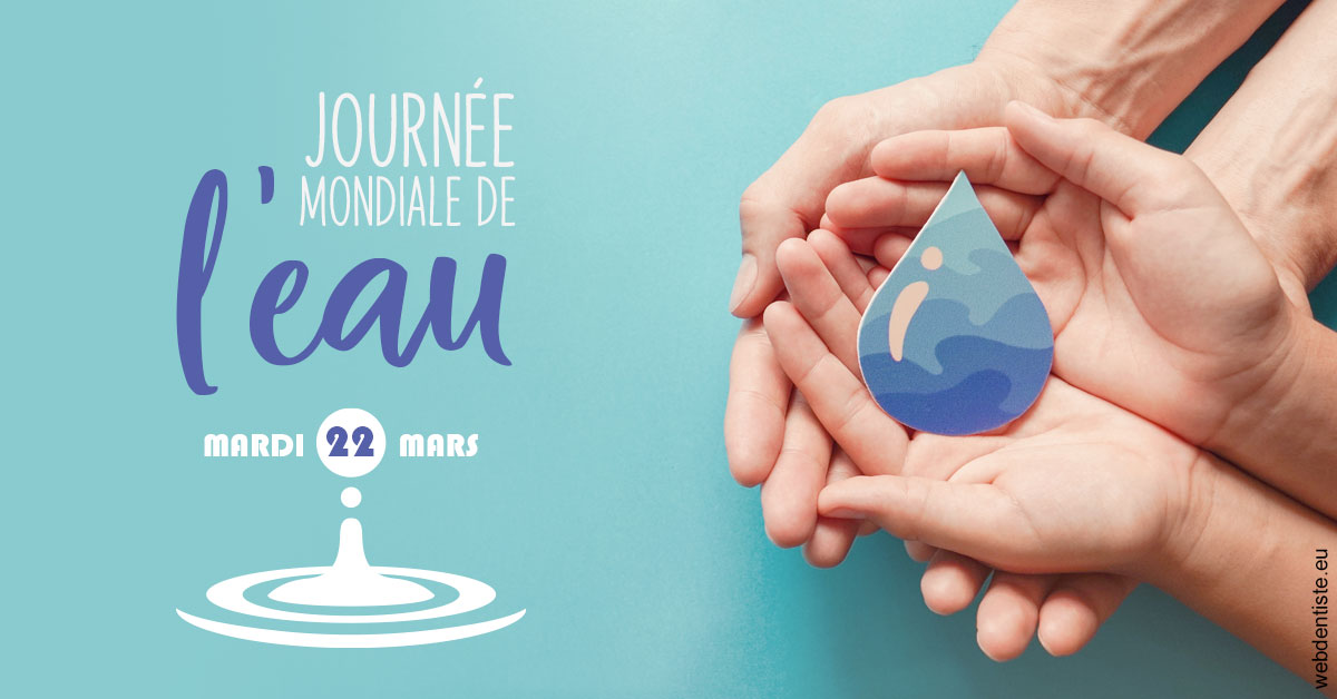 https://www.docteur-lamoureux-jean-claude.fr/La journée de l'eau 1