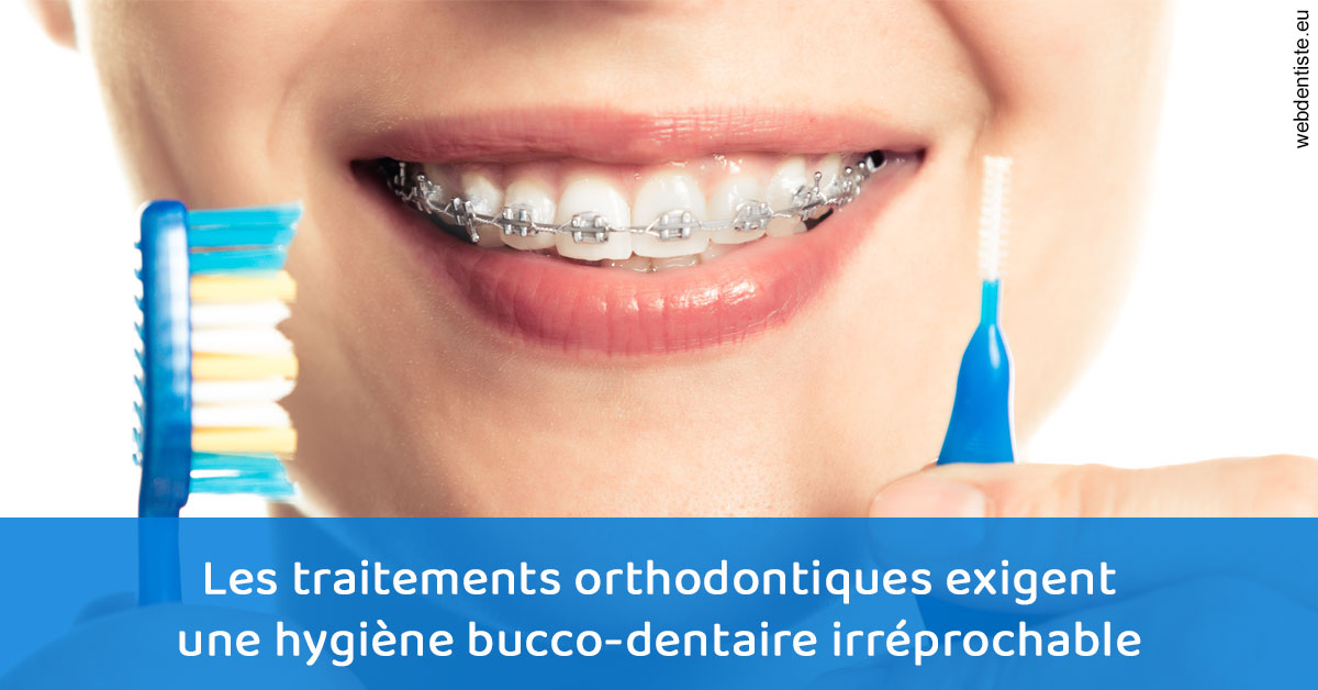 https://www.docteur-lamoureux-jean-claude.fr/Orthodontie hygiène 1