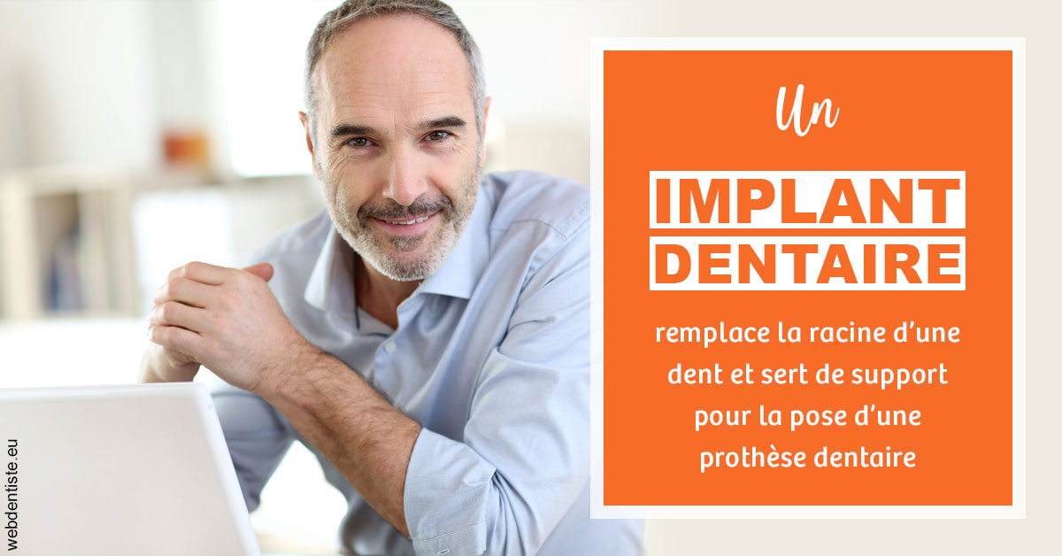 https://www.docteur-lamoureux-jean-claude.fr/Implant dentaire 2