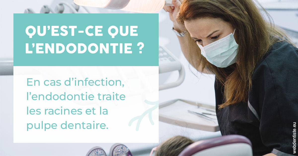 https://www.docteur-lamoureux-jean-claude.fr/2024 T1 - Endodontie 01