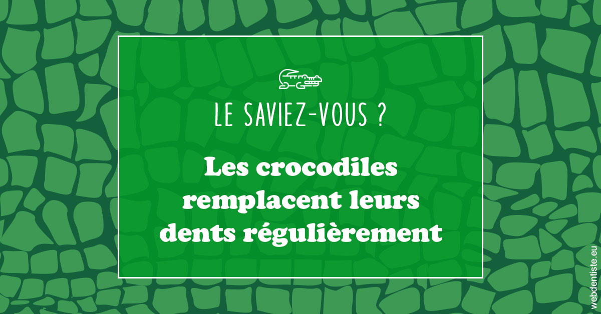 https://www.docteur-lamoureux-jean-claude.fr/Crocodiles 1