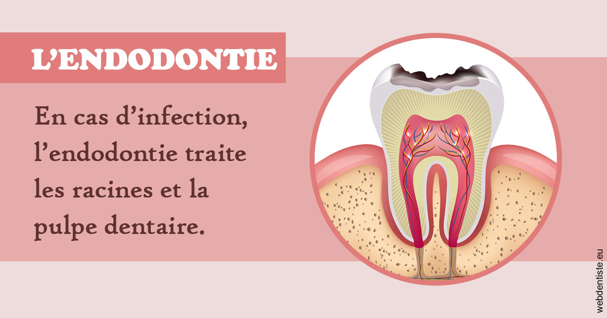 https://www.docteur-lamoureux-jean-claude.fr/L'endodontie 2