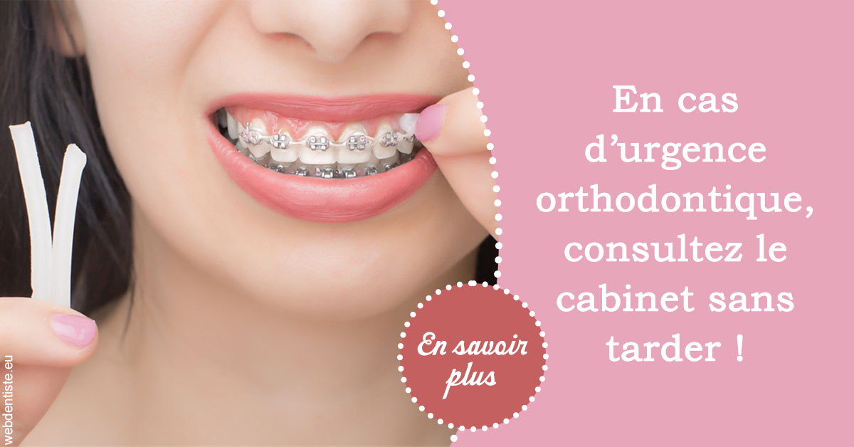https://www.docteur-lamoureux-jean-claude.fr/Urgence orthodontique 1